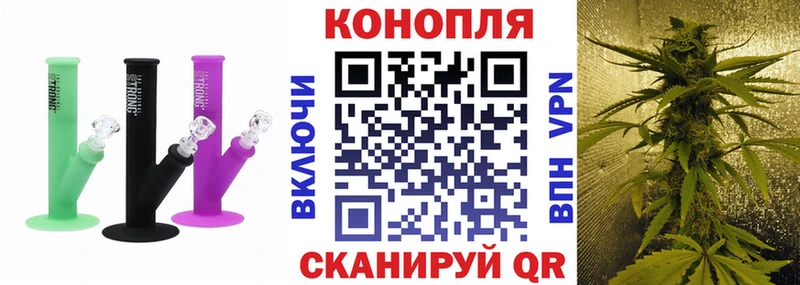 продажа наркотиков  Сосновоборск  Канабис план 